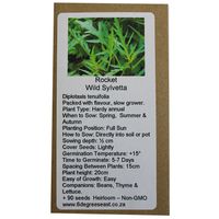 6 Degrees East Heirloom Herb Seeds - Rocket - Wild Sylvetta
